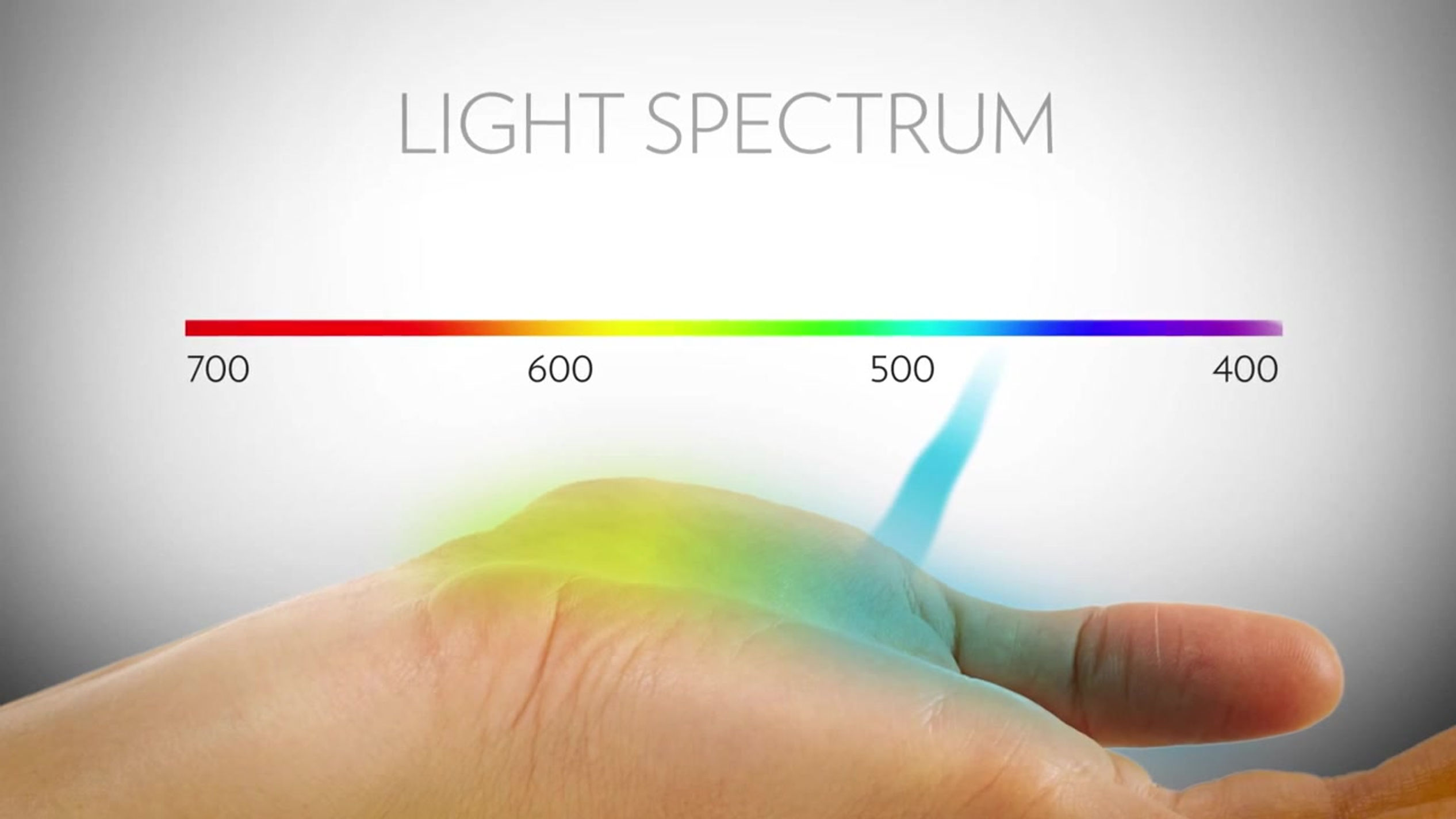 A Biomarker for your health